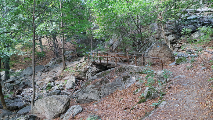 IMG_1880 (700x393, 499Kb)