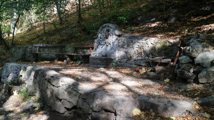 IMG_1886 (700x393, 426Kb)