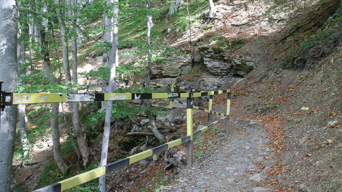 IMG_1891 (700x393, 461Kb)