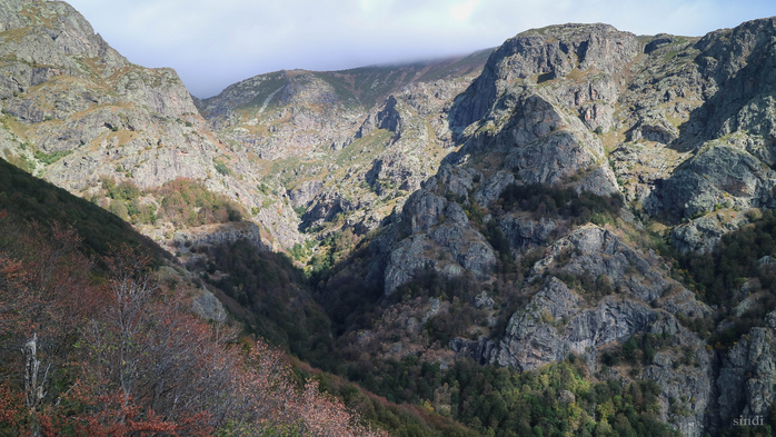 IMG_1896 (700x393, 404Kb)