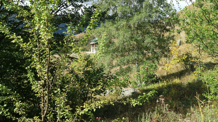 IMG_1900 (700x393, 542Kb)