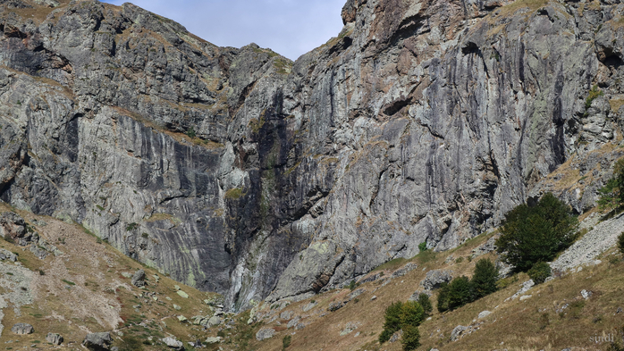 IMG_1903 (700x393, 420Kb)