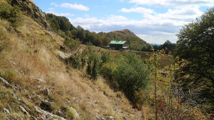 IMG_1915 (700x393, 444Kb)