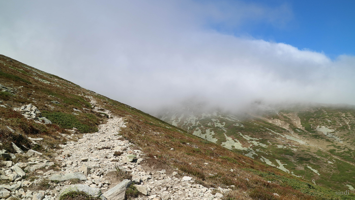 IMG_1946 (700x393, 300Kb)