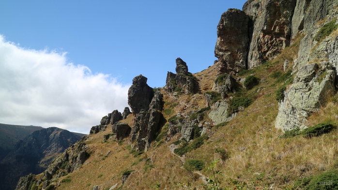 IMG_1924 (700x393, 344Kb)
