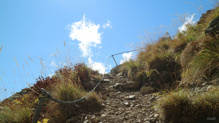 IMG_1930 (700x393, 377Kb)