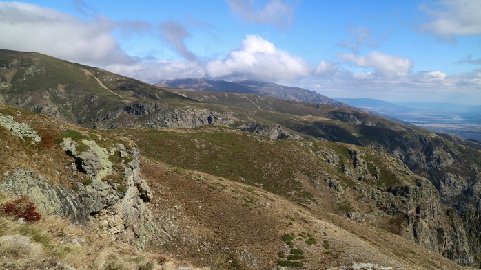 IMG_1945 (700x393, 374Kb)