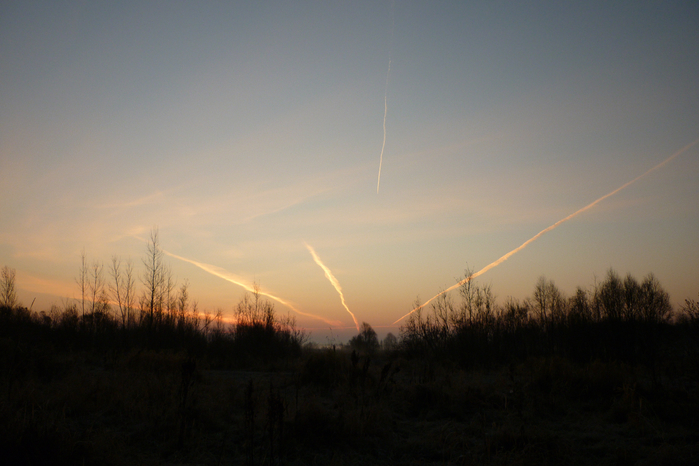 P1080857 (700x466, 316Kb)