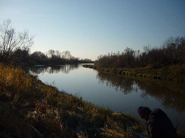 P1080860 (640x480, 205Kb)