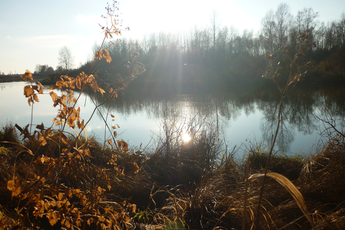 P1080875 (700x466, 478Kb)