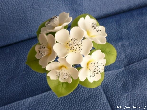 Лепим белые цветочки с пестиками. Мастер-класс (7) (620x465, 138Kb)