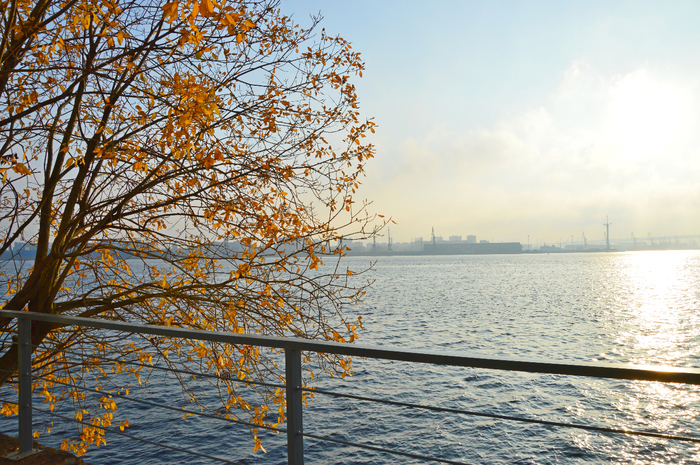 DSC_4617 (700x465, 568Kb)