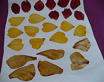 Аппликация и поделки из листьев кукурузы - талаша (2) (334x263, 114Kb)