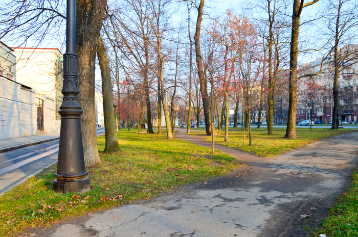DSC_4742 (700x465, 632Kb)