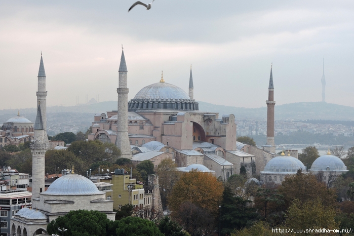 Стамбул, Турция, Istanbul, Shraddhatravel 2021 (27) (700x466, 239Kb)