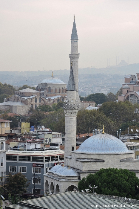 , , Istanbul, Shraddhatravel 2021 (29) (466x700, 273Kb)
