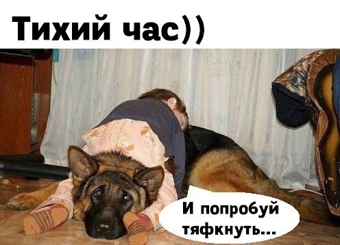 5402287_1ac9e49f17a0fe7ee2ef6ef793616b2c (496x358, 51Kb)