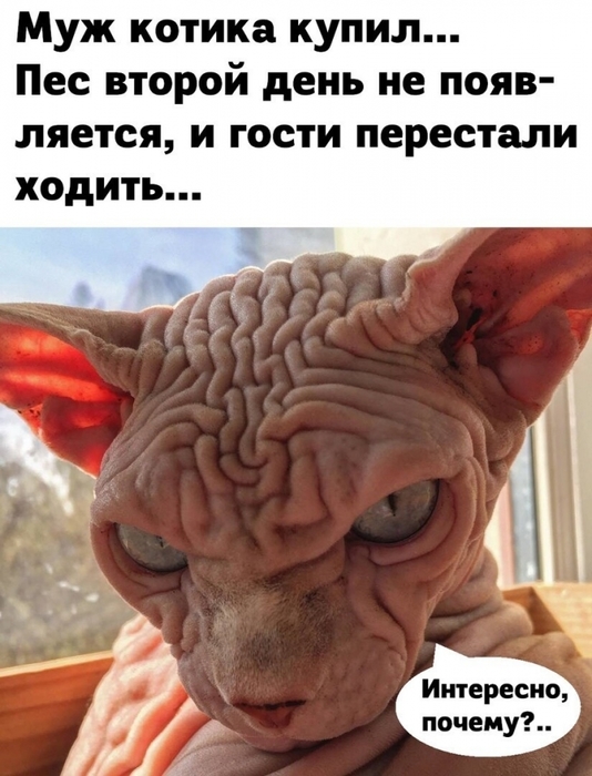 5402287_98602bf7a162db37bf88cd5864adaa3b (534x700, 232Kb)