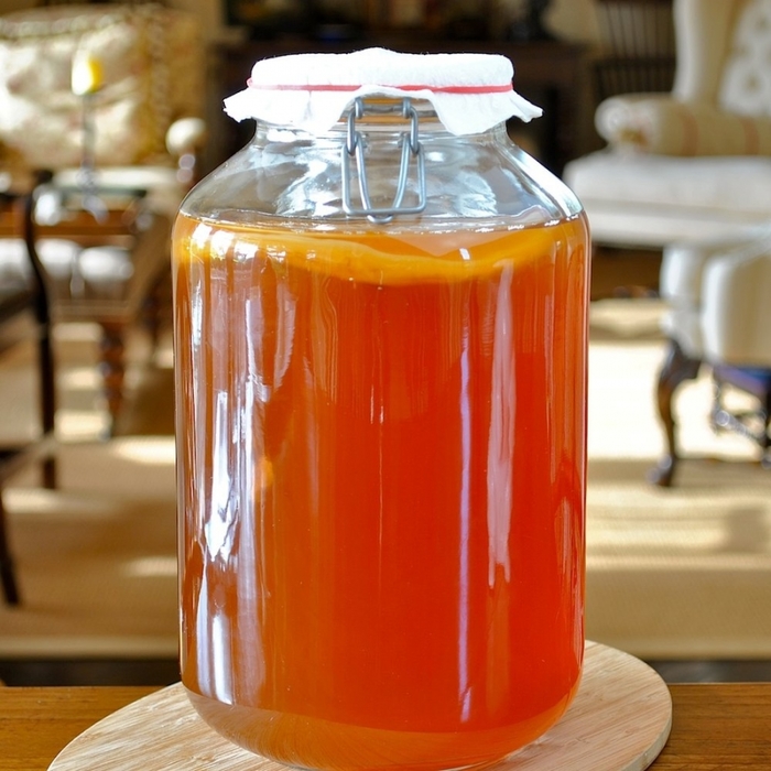 2835299_Kombucha_chainii_grib (700x700, 286Kb)