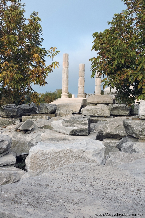 храм Аполлона, Турция, Shraddhatravel 2021 (28) (466x700, 368Kb)
