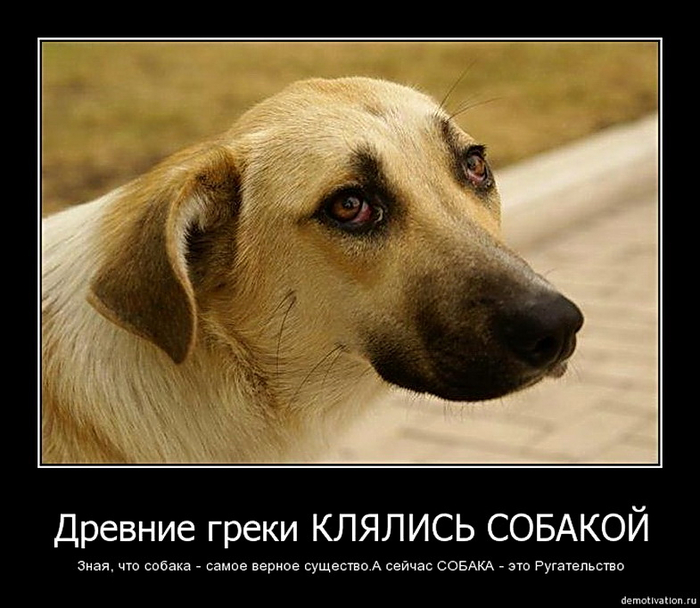 0_63e58_2e3a8024_orig (700x608, 291Kb)