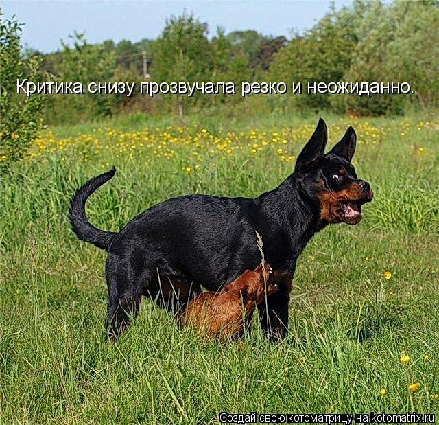 3aca1587f2cd (640x619, 448Kb)