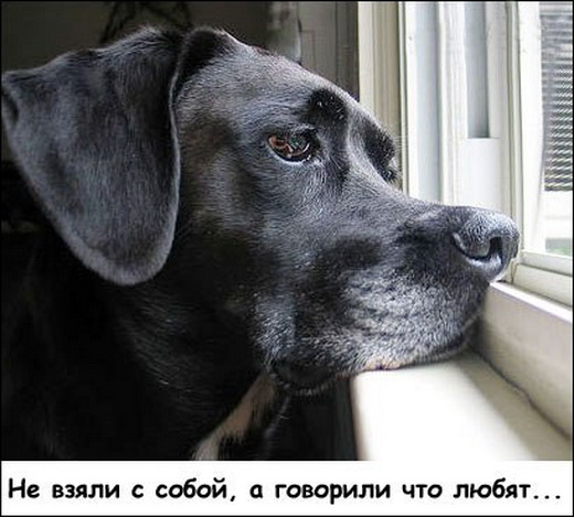 8ad53a89bММ (520x469, 142Kb)