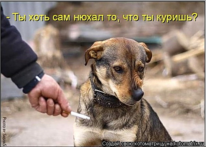 10 приколВК (700x499, 343Kb)