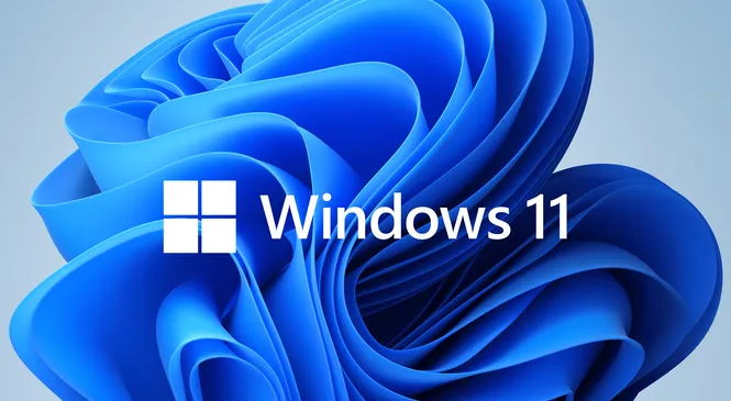 Windows 11: ,   