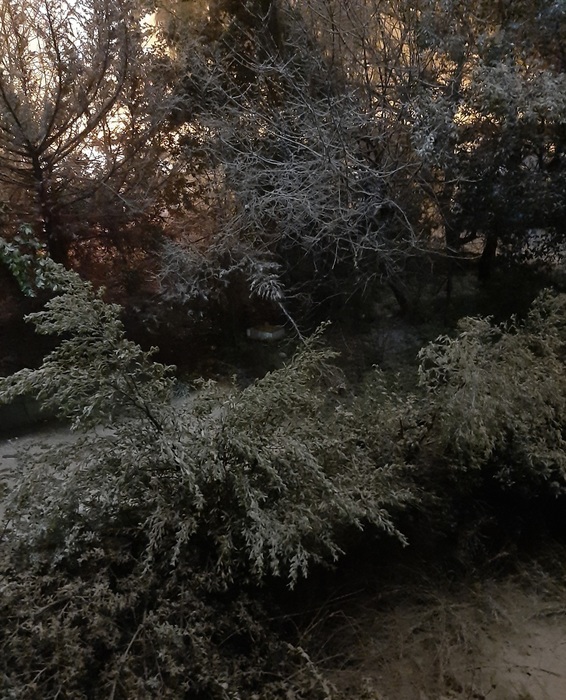 20220126_202718 (566x700, 187Kb)