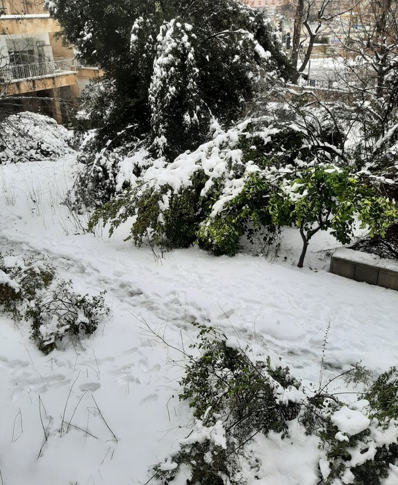 20220127_092808 (573x700, 215Kb)