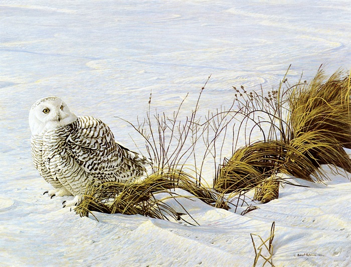 6Художник Роберт Бейтман. (700x533, 188Kb)