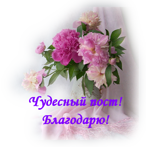 140881727_104887663_Chudesny_post_blagodaru (500x500, 632Kb)