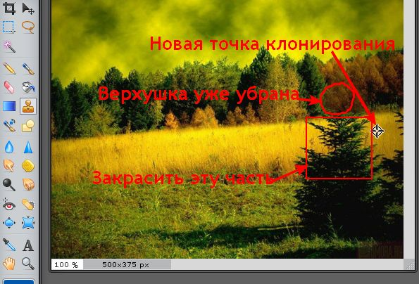 Как убрать ненужный объект на фотографии. Фоторедактор Pixlr (12) (595x404, 584Kb)