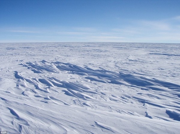 Антарктида (600x447, 67Kb)