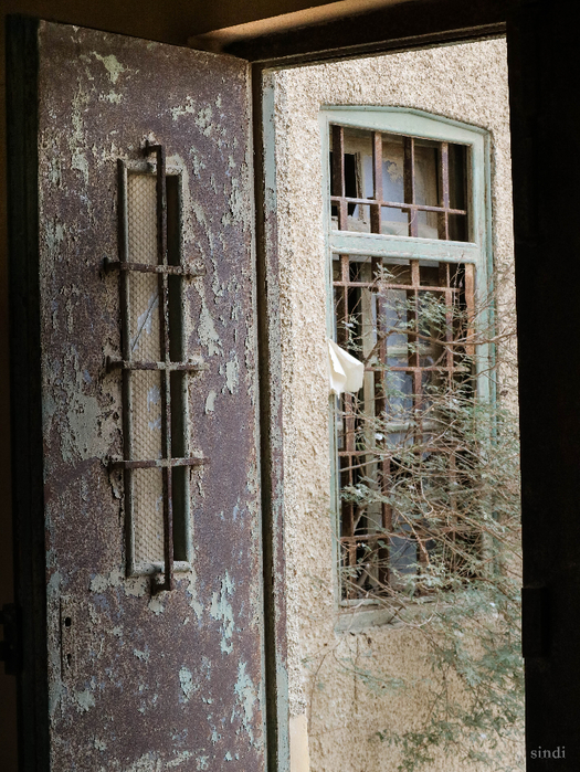 IMG_4028 (525x700, 510Kb)