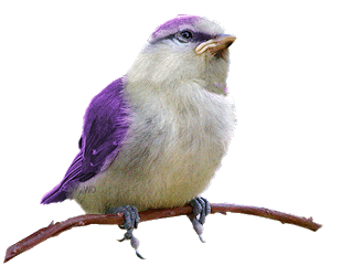 2212939000a817b0e45cdb27788b99a8ef5a24d299 (309x250, 75Kb)