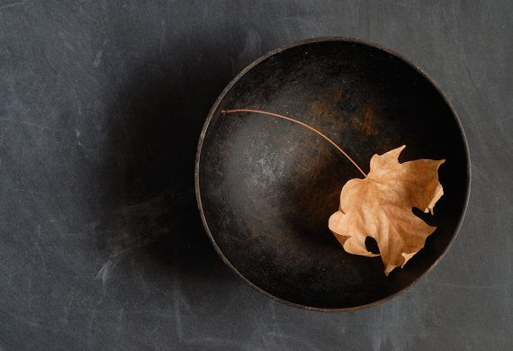 03a93ca360f77f226340594b45058677--still-life-photography-fine-art-photography (570x390, 100Kb)