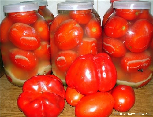 Соленые помидоры ЛЮБАВА (2) (500x383, 122Kb)