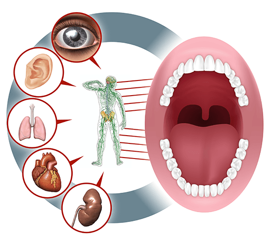 content_1reflexología_dental (560x494, 63Kb)