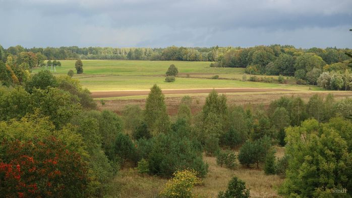 IMG_7329 (700x393, 357Kb)