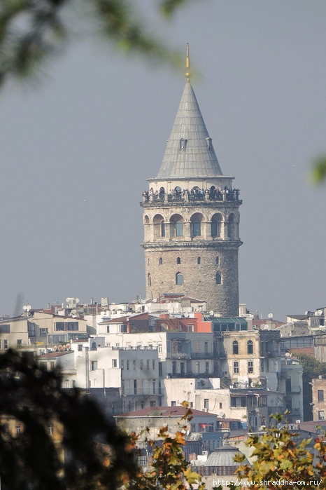 Стамбул, Турция, Istanbul, Shraddhatravel 2021 (91) (466x700, 244Kb)