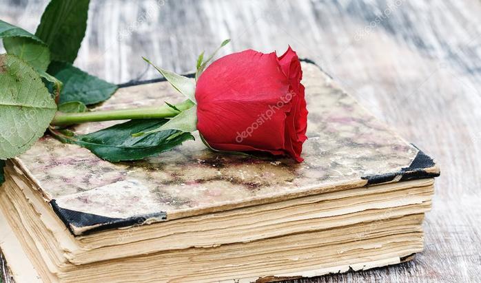 depositphotos_103210018-stock-photo-vintage-book-and-rose (700x411, 55Kb)