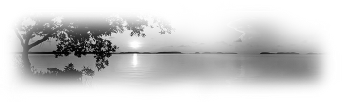 4083308_vecher200 (700x210, 122Kb)