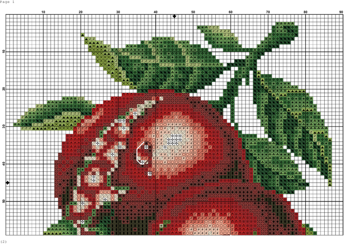 DOME_frukty_-_granat_1 (700x494, 502Kb)