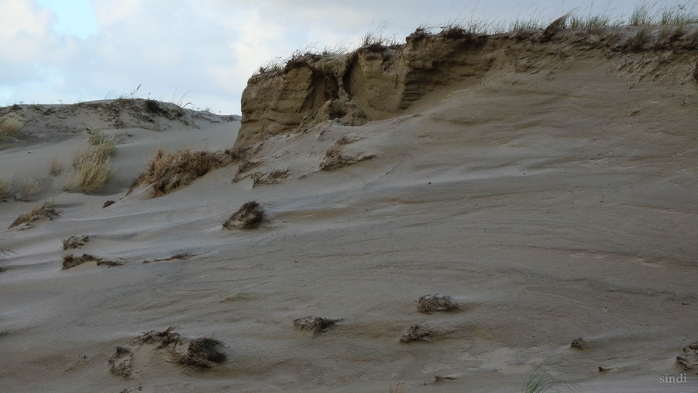 IMG_7521 (700x393, 250Kb)