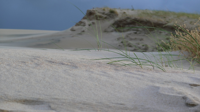 IMG_7529 (700x393, 259Kb)