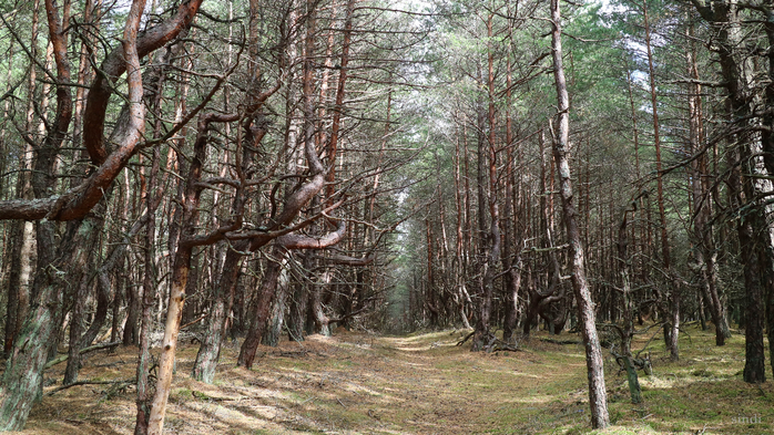 IMG_7471 (700x393, 474Kb)