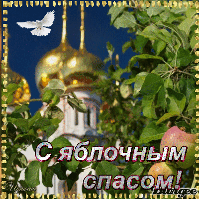 жа5 (400x400, 464Kb)