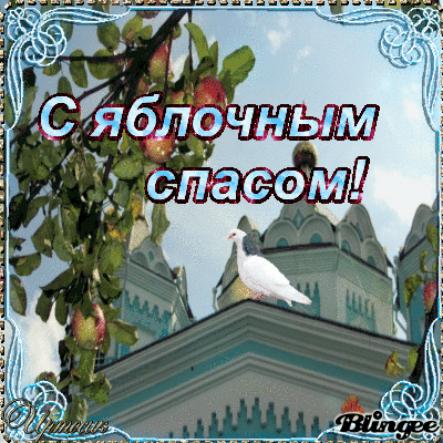 жа10 (400x400, 1316Kb)
